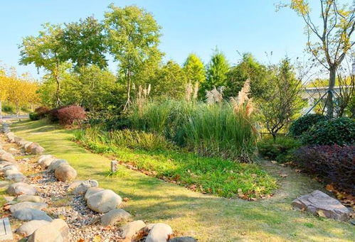 全市第一 有 顏值 有 內涵