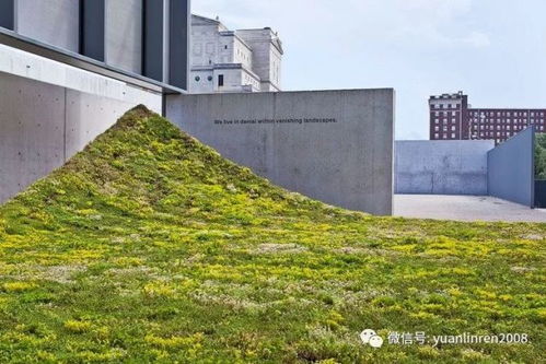 美國(guó)圣路易斯當(dāng)代藝術(shù)博物館green varnish景觀藝術(shù)裝置